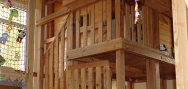 vogelnest-kindergrippe-lautertal.jpg