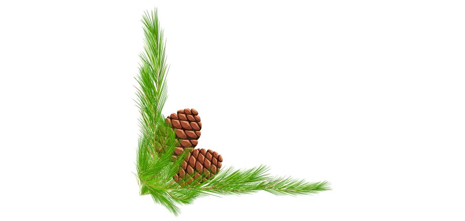 Border template with pinecones and leaves